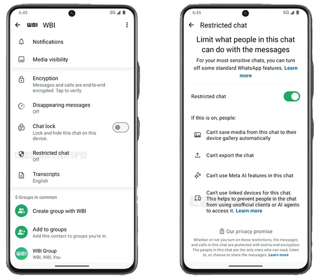 WhatsApp Restricted Chat