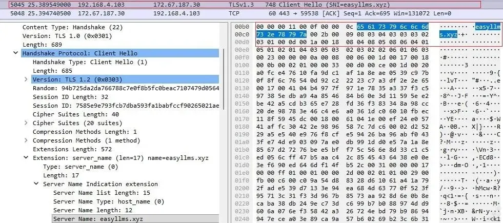 TLS Client Hello, показващ easyllms.xyz в полето Server Name Indication (Източник – Point Wild)