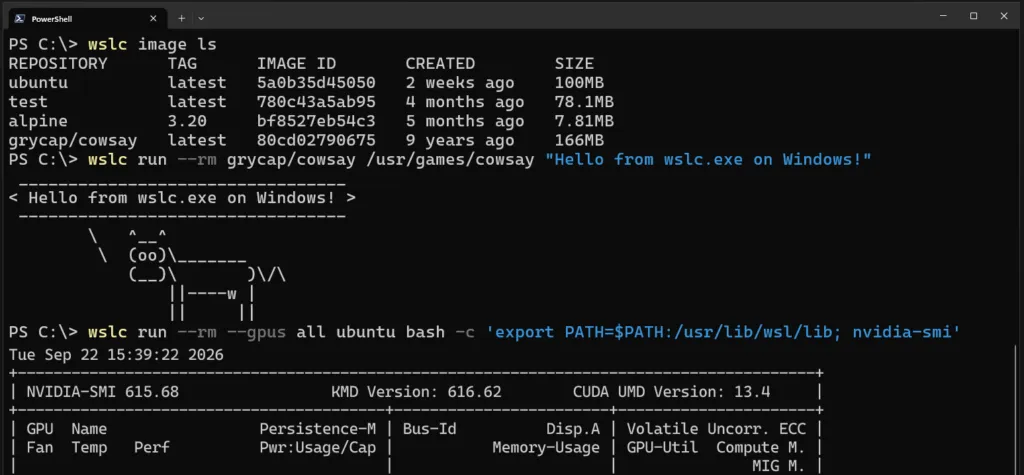 Windows 11 WSL