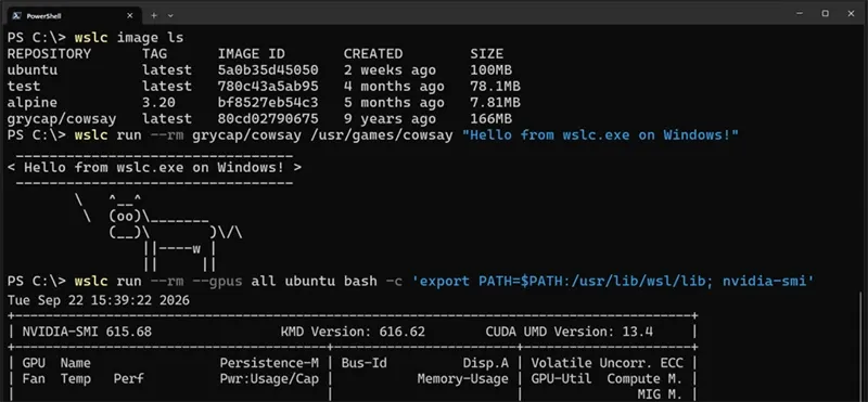 microsoft WSL containers
