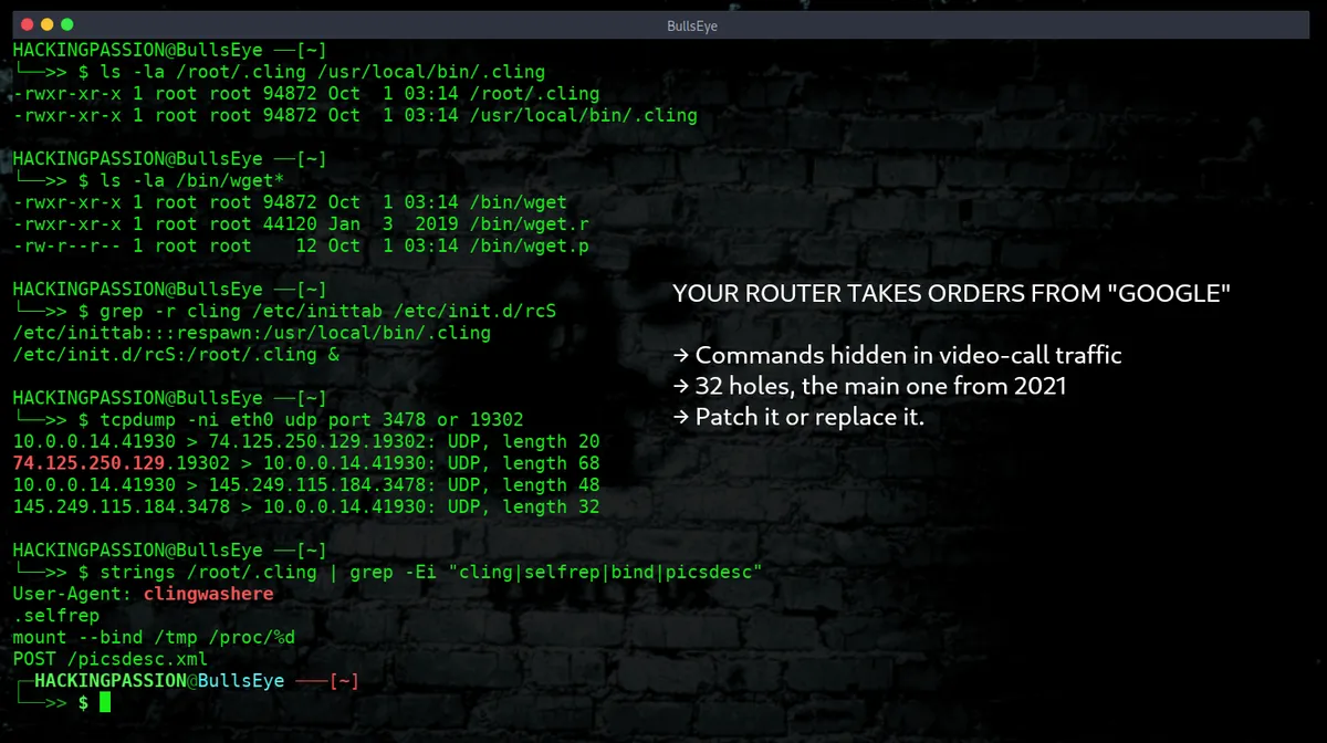 /cling-botnet-stun-google-disguise/cling-botnet-stun-google-disguise.png